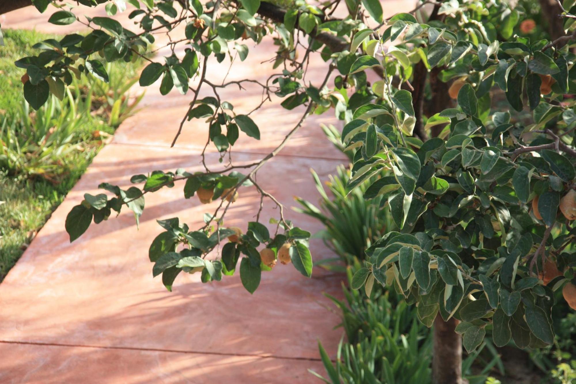 Villa Quince 奥伊俄贞 外观 照片