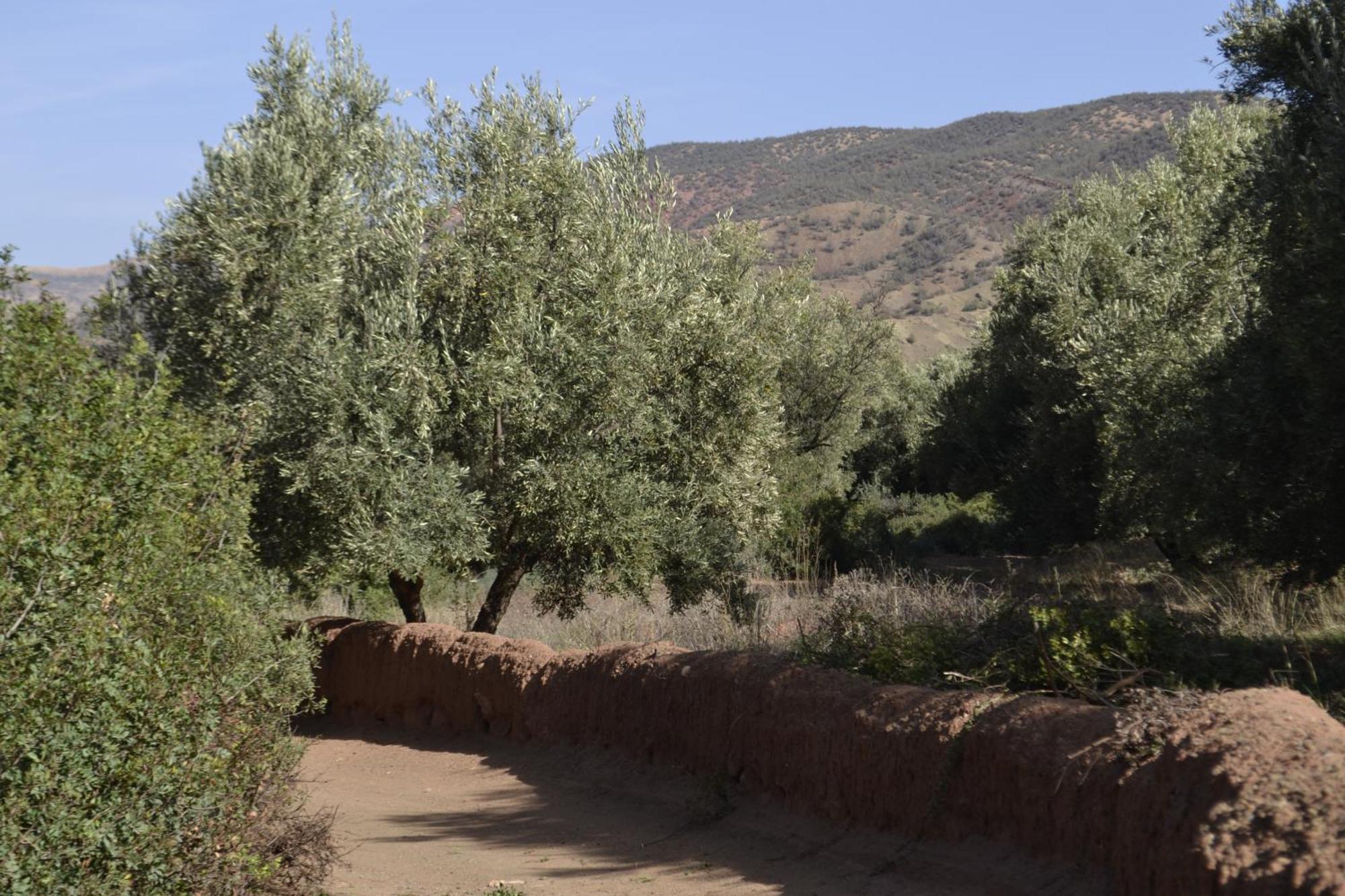 Villa Quince 奥伊俄贞 外观 照片